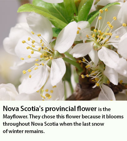 Nova Scotia