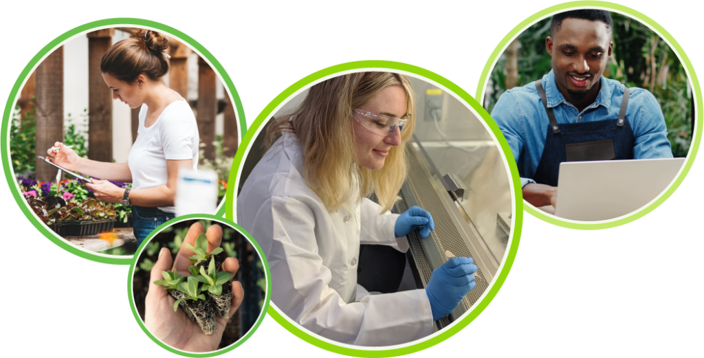 Landscape and Horticulture Technician Green Careers CanadaGreen